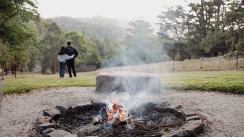 A campfire with rocks arranged in a circle, surrounded by a grassy area with trees in the background.