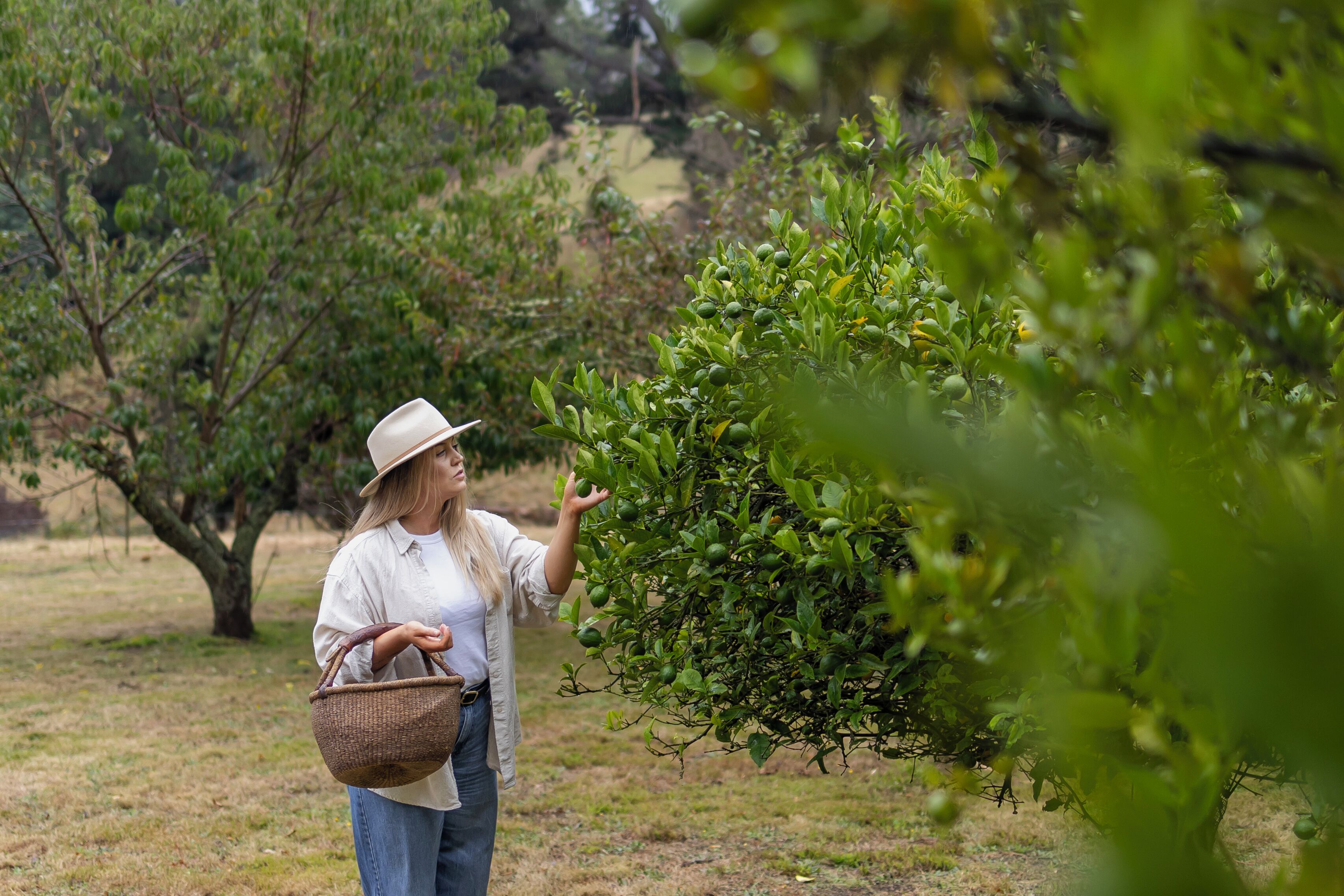 A person in a hat and casual clothing holding a basket, standing in a grassy area with trees and bushes.