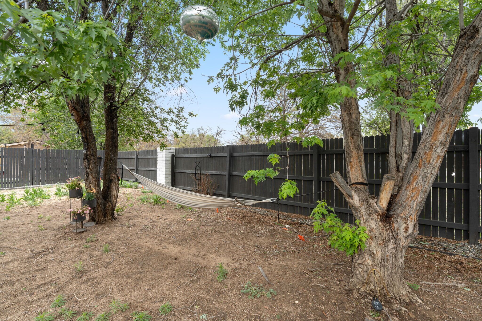 A backyard with a hammock, trees, a wooden fence, and a garden bed.