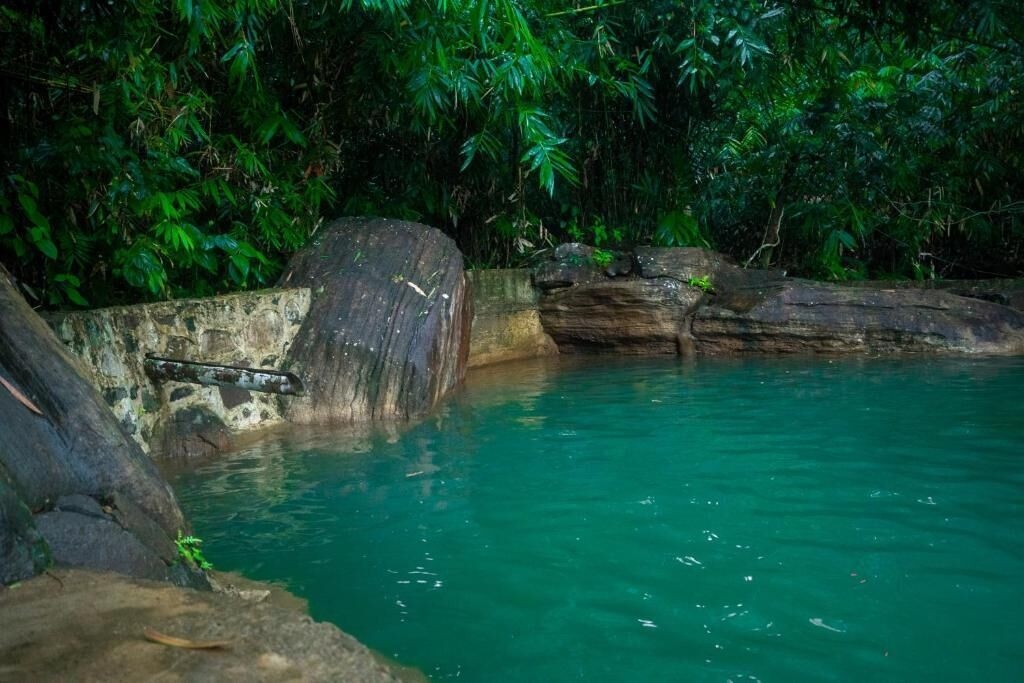 Uma piscina natural rodeada por vegetação densa.