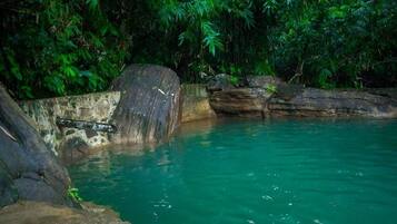 Uma piscina natural rodeada por vegetação densa.