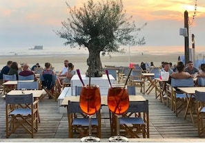 An outdoor dining area with tables and chairs, a large tree, and a view of the sea.