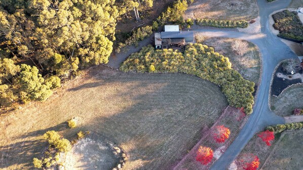 Imagen sin descripción, 1 de 19, botón