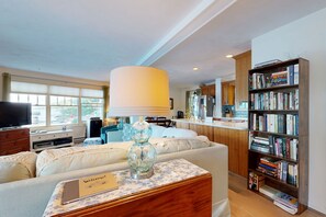 TV, fireplace, DVD player, books