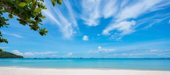 Skywave Apartment Firework Delight