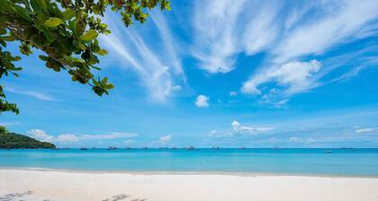 Skywave Apartment Firework Delight