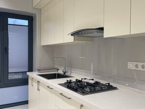 Private kitchen - Centrado smaal Tashkent (Tashkent)