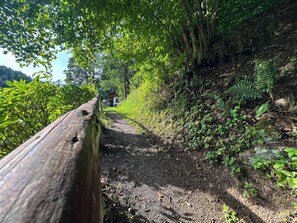 Um caminho de terra estreito, ladeado por vegetação densa e uma cerca de madeira.