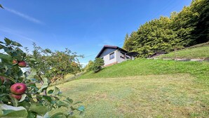 A house with a sloped roof, surrounded by a grassy area and trees. - Holiday home in the Thuringian Forest (Langenbach)