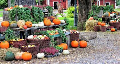 Limited Time Offer Happy Halloween AllInclusiv / Ina Nagano