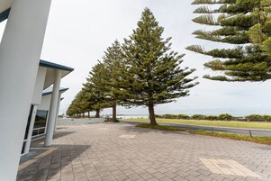 Un sendero pavimentado bordeado por altos árboles de hoja perenne, un edificio moderno con techo azul y vista al mar al fondo.