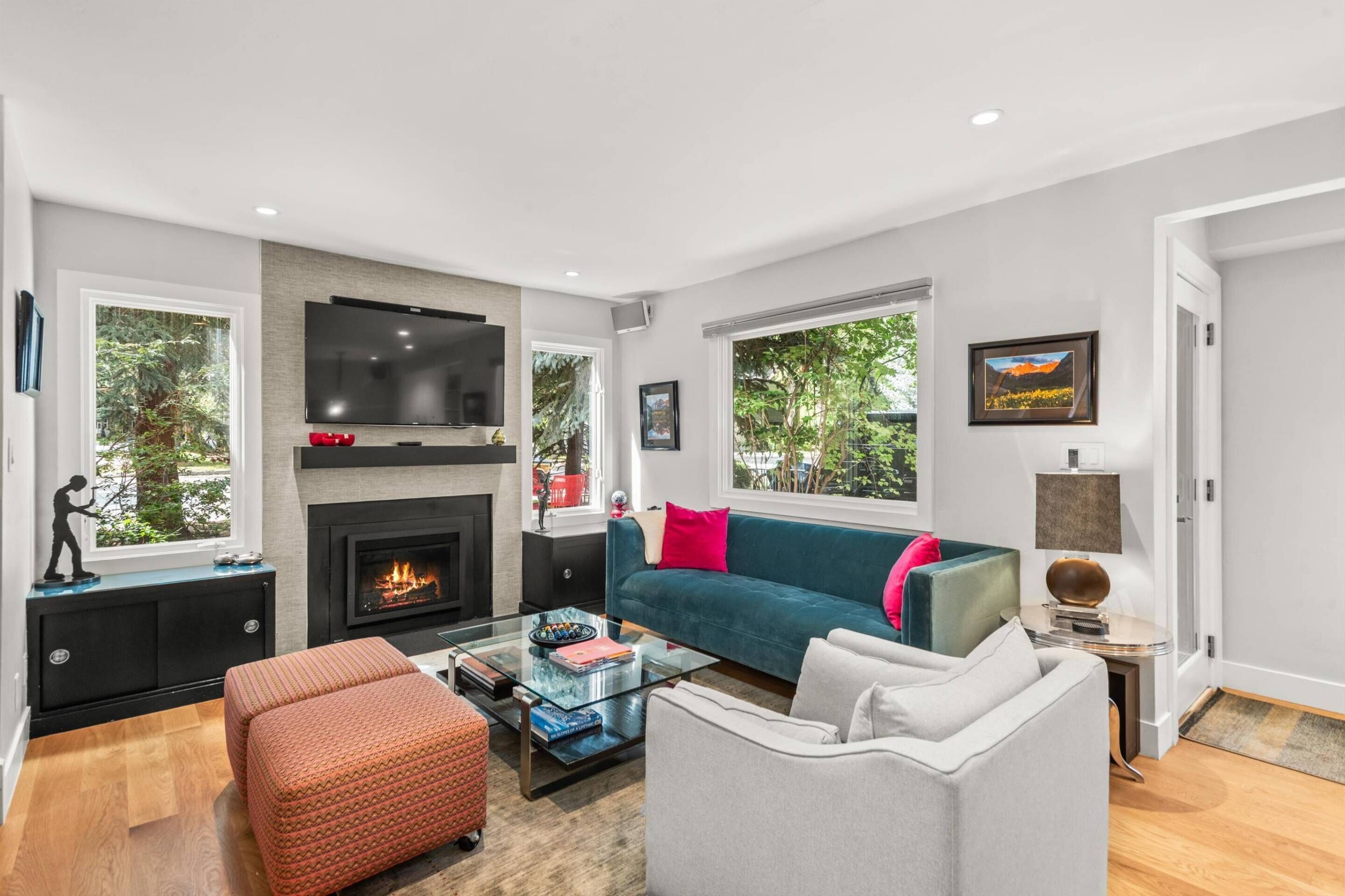 TV, fireplace, stereo