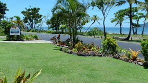 Area verde curata con una strada, piante tropicali e un cartello che indica disponibilità.