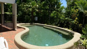 A clear pool with a curved edge, surrounded by lush greenery and a brick patio.