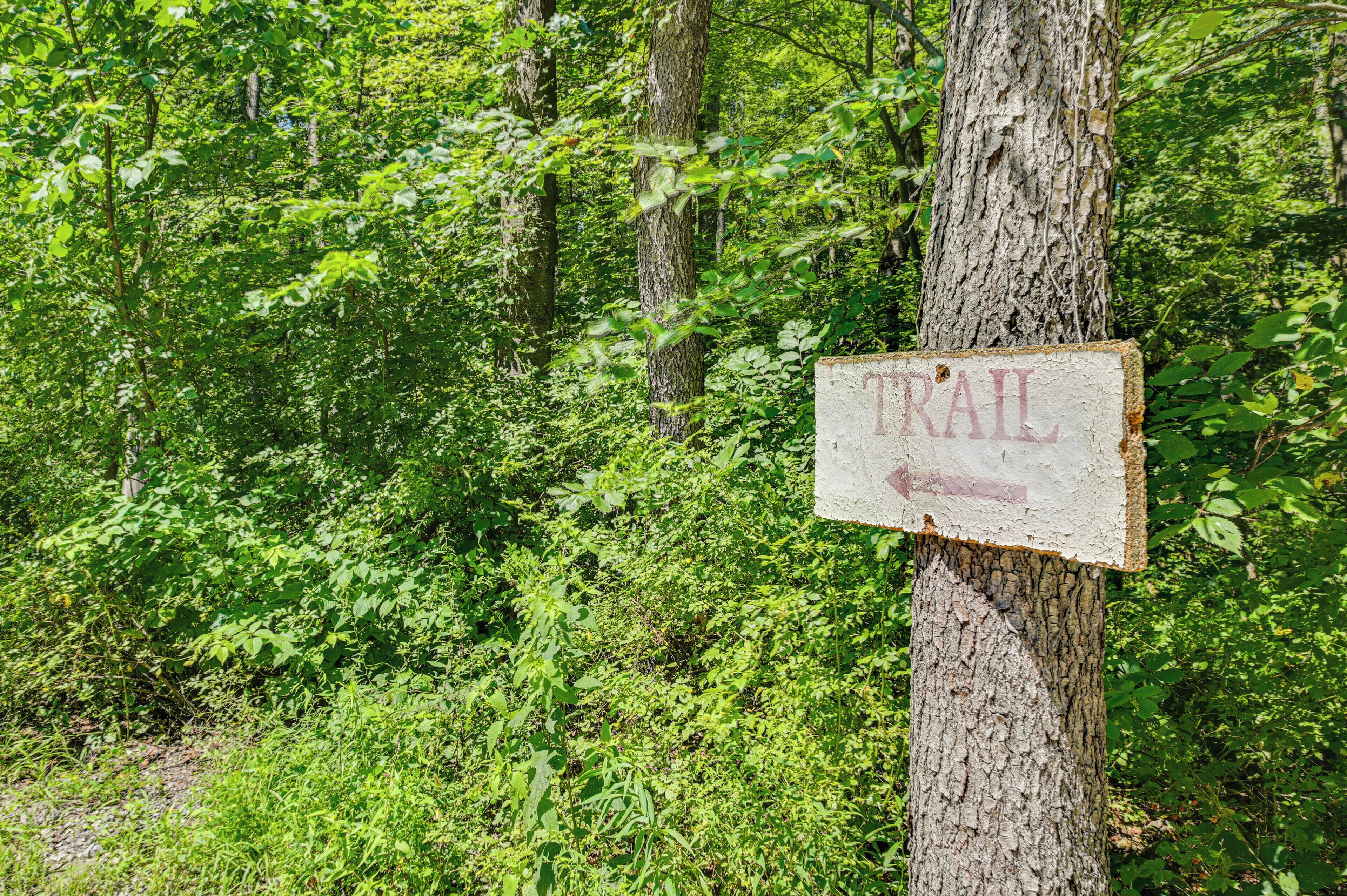Ein hölzernes Schild mit dem Wort 'TRAIL', befestigt an einem Baum in einem bewaldeten Gebiet.