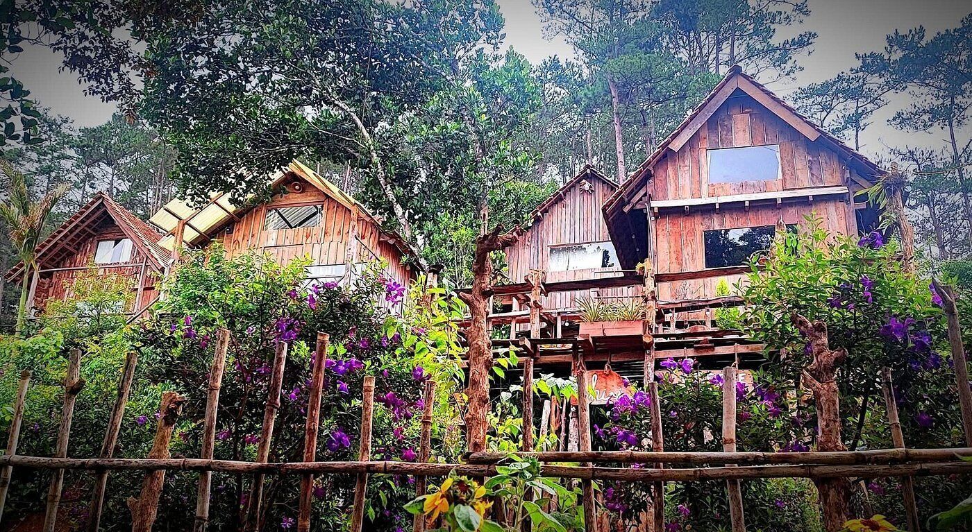 Wooden treehouses with multiple levels, surrounded by lush greenery and flowering plants.
