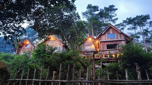 Family House, 1 Bedroom, Balcony, Mountain View | Depan hartanah