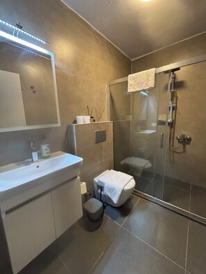 Shower, hair dryer, towels, soap