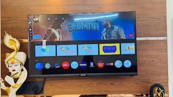 Television