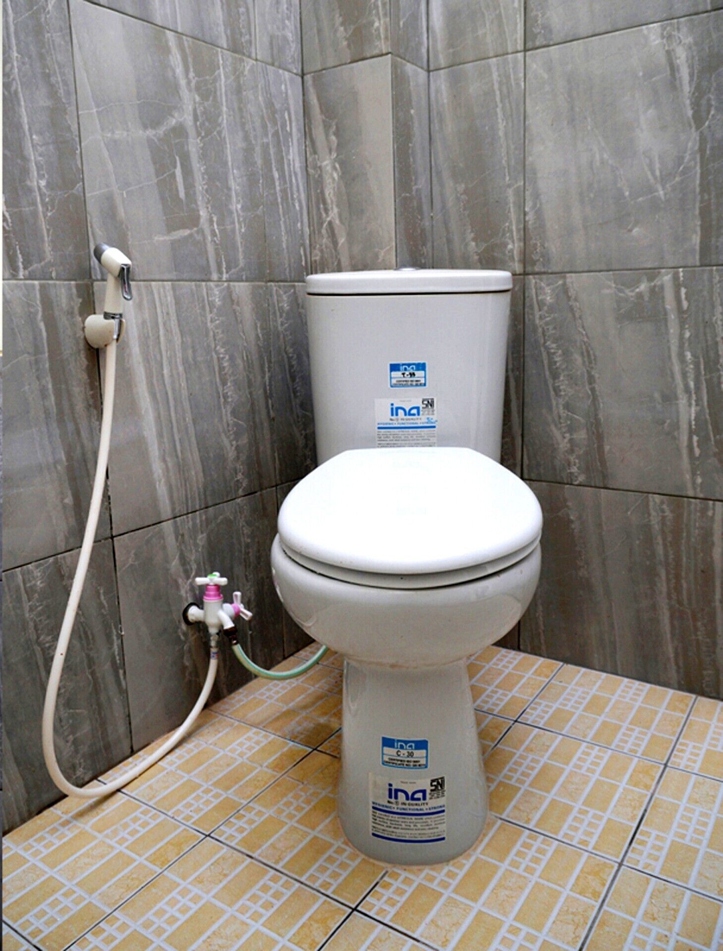 Sanitário com assento e caixa de água brancos, barra de descarga fixada na parede e tubo visível.