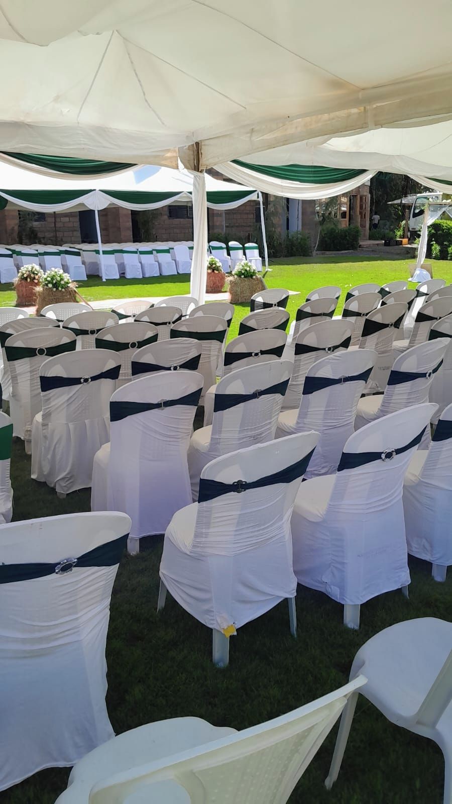Rows of white chairs with dark blue sashes under a white canopy, set up outdoors with a grassy area and a building in the background.