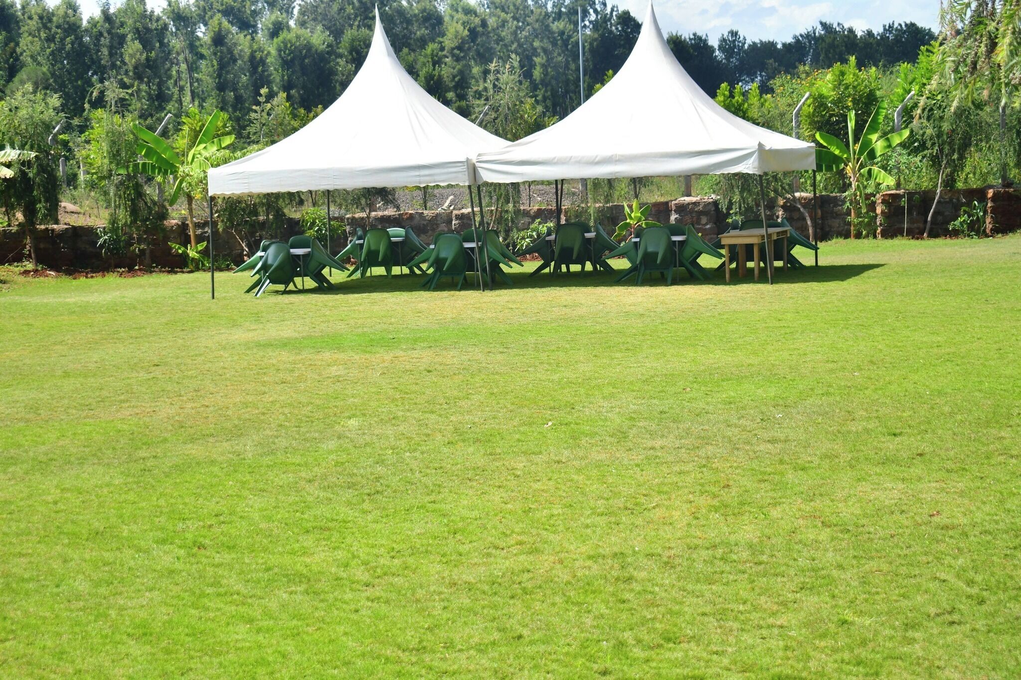 Spazio verde all'aperto con tende bianche e sedie verdi disposte per un evento.