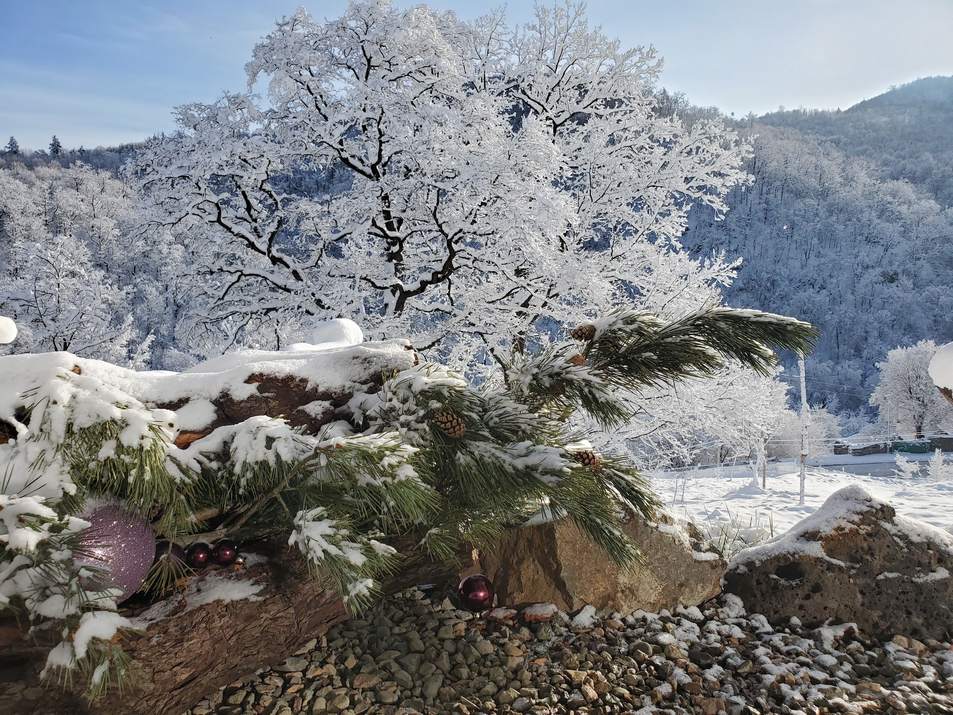 Parco della struttura