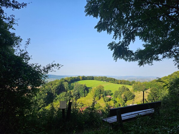 Vue depuis l’hébergement 