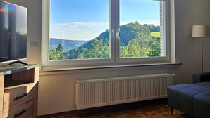 Una habitación con un ventanal grande, un radiador, un televisor y un sofá.