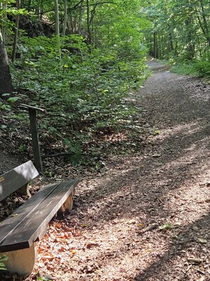 Terrain de l’hébergement 