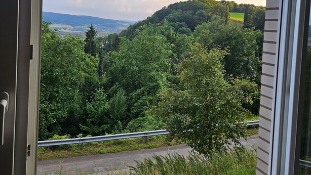 Una ventana con vistas a un paisaje verde, con árboles y una carretera.