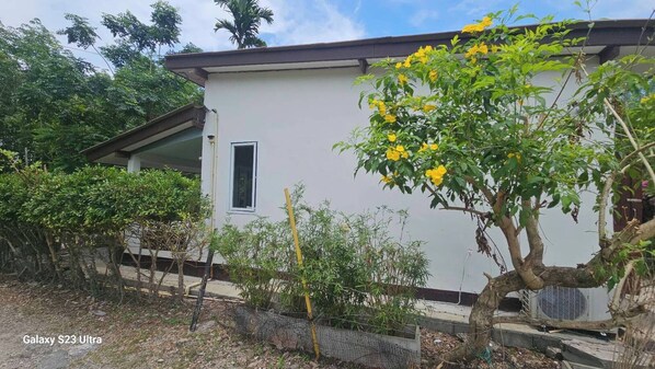 Kamer, 1 slaapkamer, uitzicht op tuin | Terrein van de accommodatie