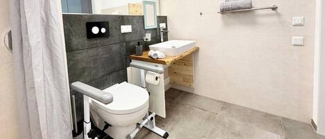 A modern bathroom with a toilet, a sink, and a shower area.