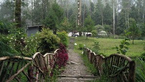 Un sentier de pierres mène à un chalet rustique, entouré d’une forêt dense.