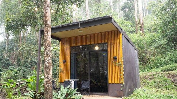 Une petite cabane en bois, dotée d’une porte et de fenêtres en verre, entourée d’une forêt dense.