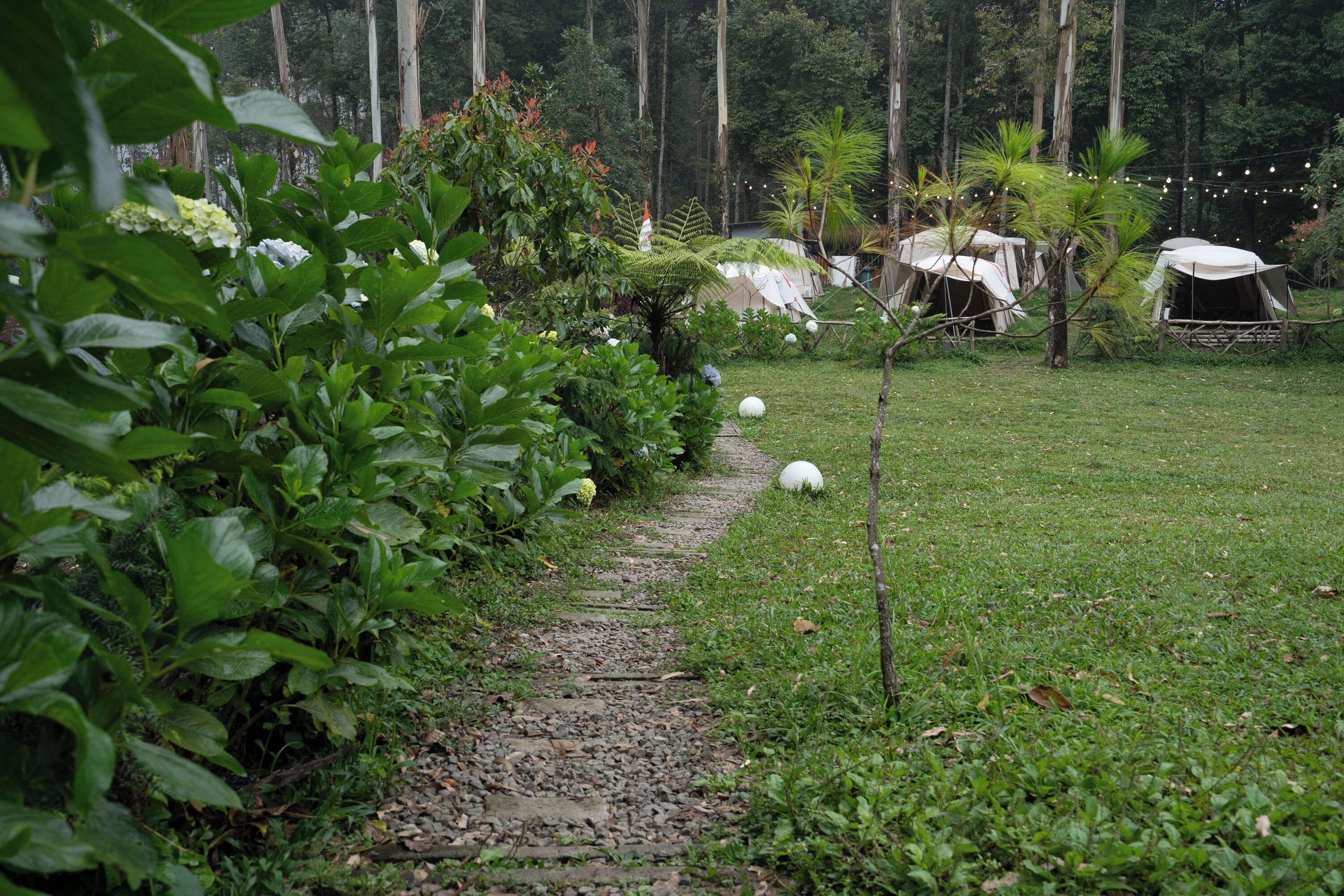 A garden path leading to a campsite with tents and string lights.