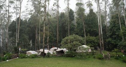 Kuleum Camp And Cabin By ARBA