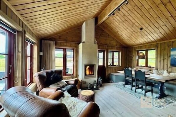 TV, fireplace, books