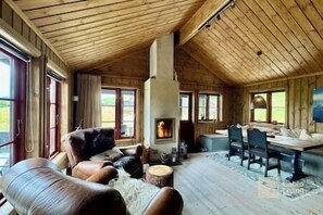 Televisión, chimenea y libros