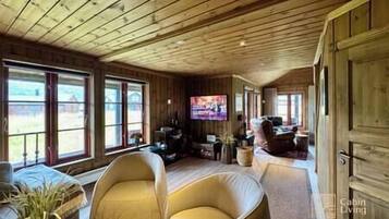 TV, fireplace, books