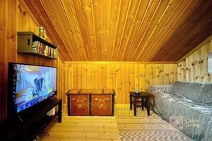 Televisión, chimenea y libros