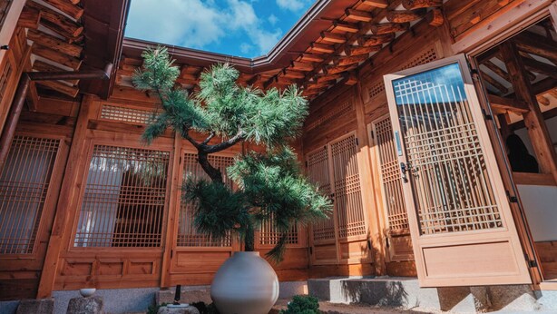 En traditionell japansk byggnad med en träkonstruktion, ett stort träd i mitten och en klarblå himmel som syns genom taket.
