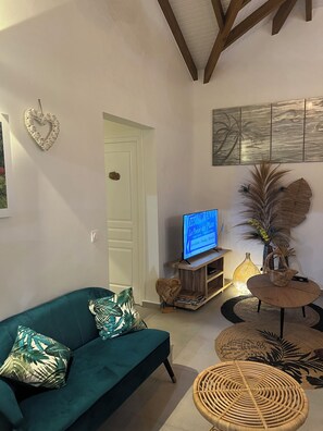 Smart TV, books, stereo - Villa foufou (Grand-Bourg)