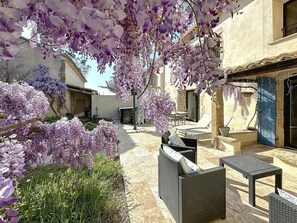 Une cour avec des sièges en plein air, une pergola ornée de fleurs violettes et un bâtiment avec une porte bleue.