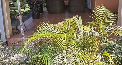 Spacious 2-bedroom apartment in Avirons - Terrace & Parking