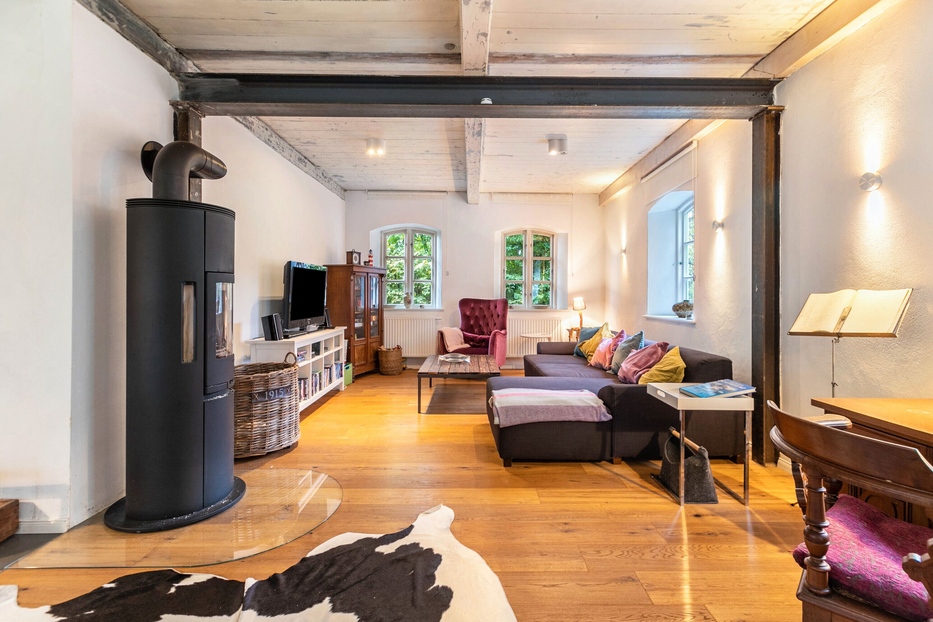 Tv, pejs, dvd-afspiller