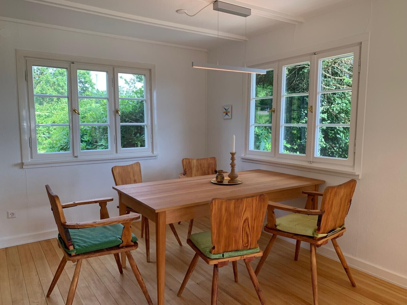 Ein Esszimmer mit Holztisch und -stühlen, großen Fenstern mit Grünpflanzen im Hintergrund und einer Deckenleuchte.