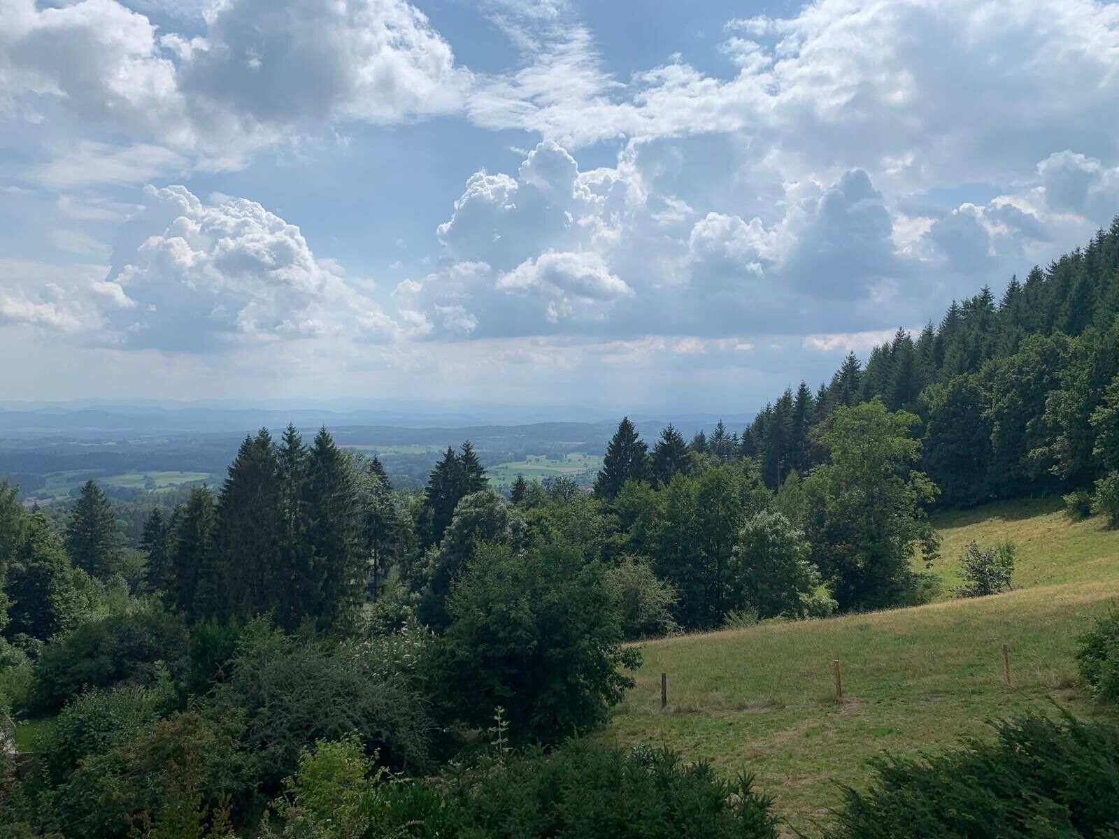 A mountainous landscape with dense forests and a clear sky.