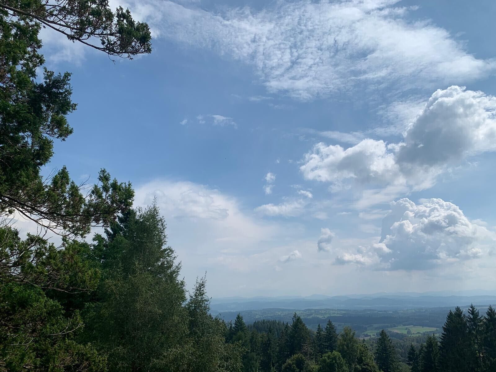 Metsäinen maisema, kirkas taivas ja kaukana horisontissa kohoavat vuoret.