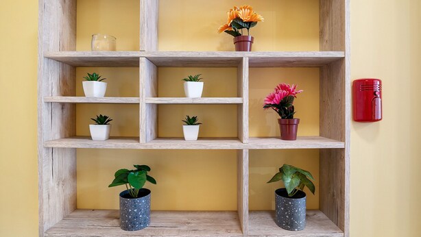 A wooden shelf with potted plants and a red container against a yellow wall.